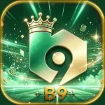 B9 Game