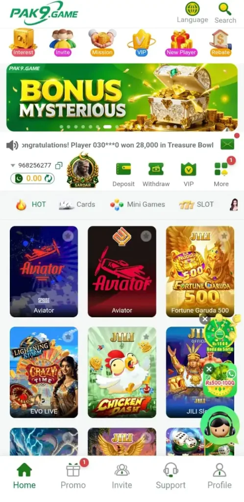 PAK9 Game