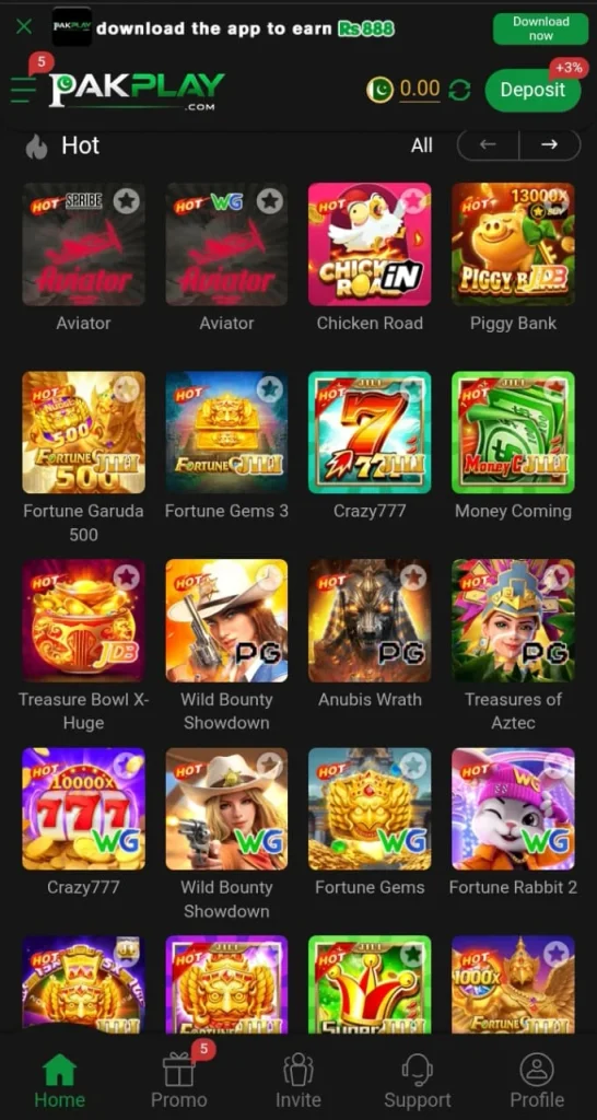 PAKPLAY Game