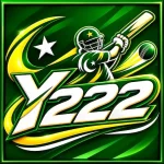 Y222 Game