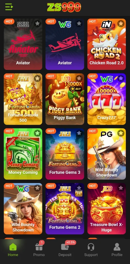 ZS999 Game