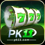 PK11 Game
